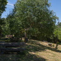 Area_recreativa_Ponte_Mazaira-1